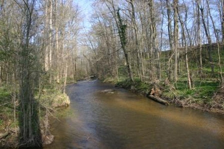 Au fil de l'eau