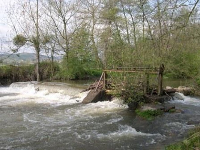 Au fil de l'eau
