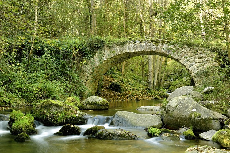 The Monne gorges