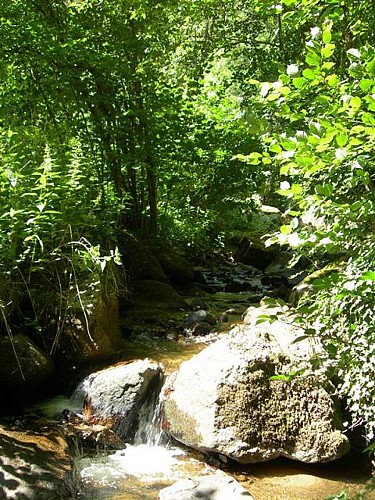 Le sentier de l'APAGE