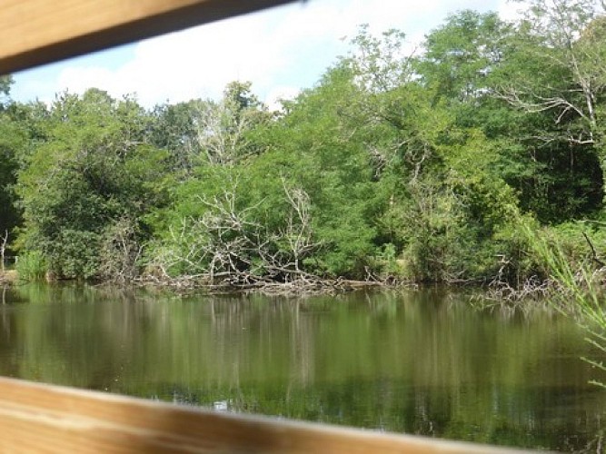 Vue de l'observatoire 1 Sabaille