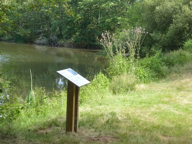 Panneau bord étang Sabaille