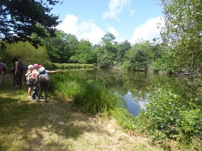Personnes bord étang Sabaille