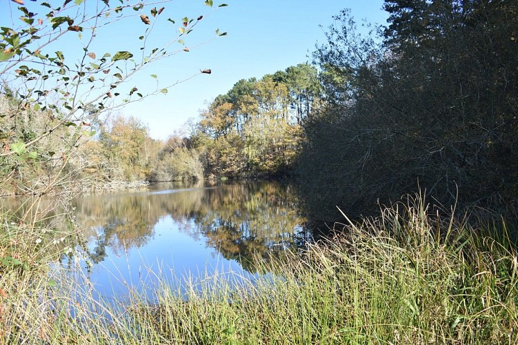 sabaille (2) - réduit