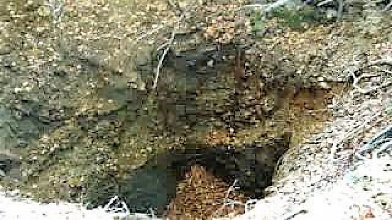 La mine d'argent et d'arsenic du Bosberty
