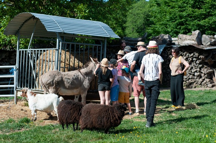 Ferme du Bois Neuf - Animation