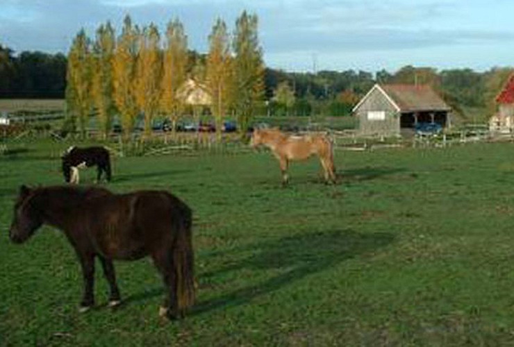 poneyclub-change-72-asc-1