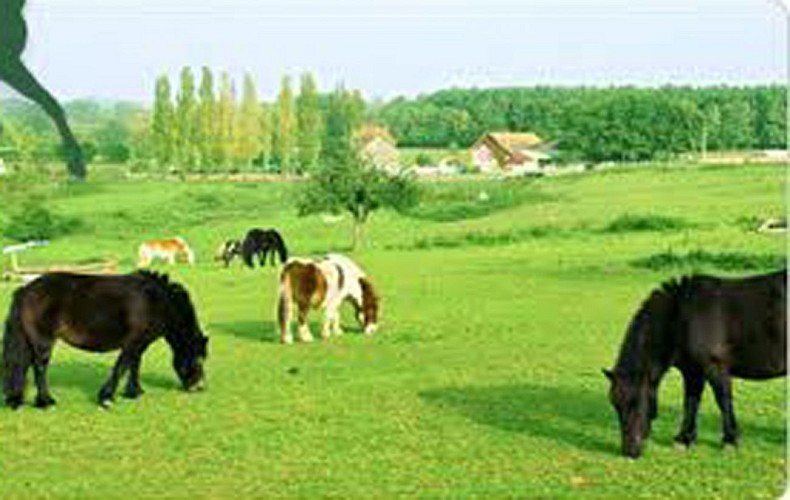 poneyclub-change-72-asc-2