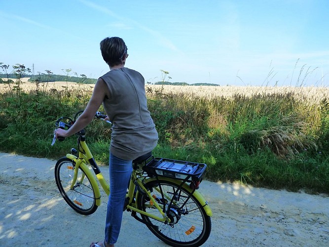 Location de vélos à assistance électrique à l'OTMS