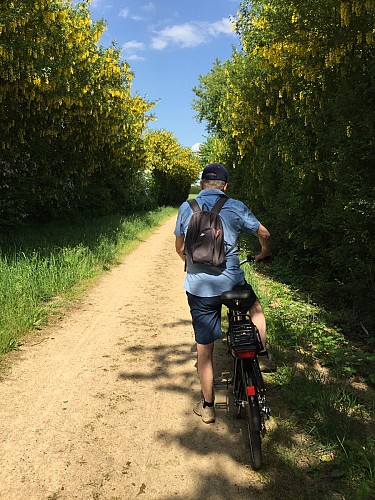 Location de vélos à assistance électrique à l'OTMS