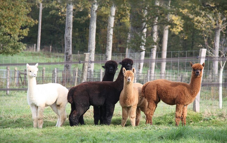 Le paradis de la Charnie