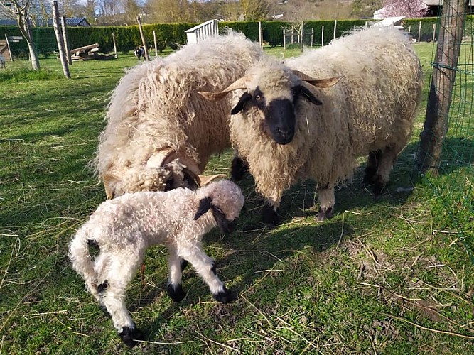 Le temps d'un Champs_Montval sur Loir (2)