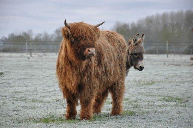 Le temps d'un Champs_Montval sur Loir (3)