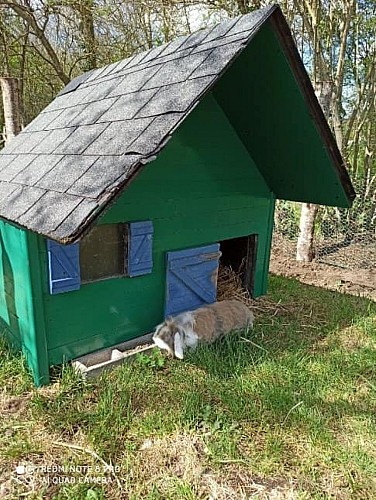 Le temps d'un Champs_Montval sur Loir (5)