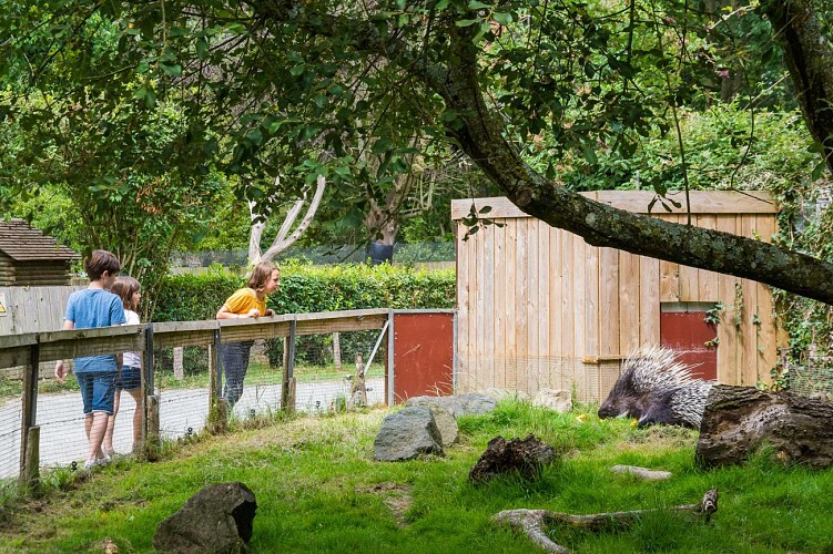 Spaycific' Zoo- Enclos des porcs épic