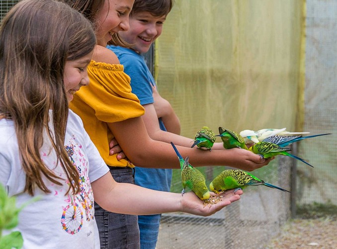 Spaycific' Zoo- Enclos des Perruches