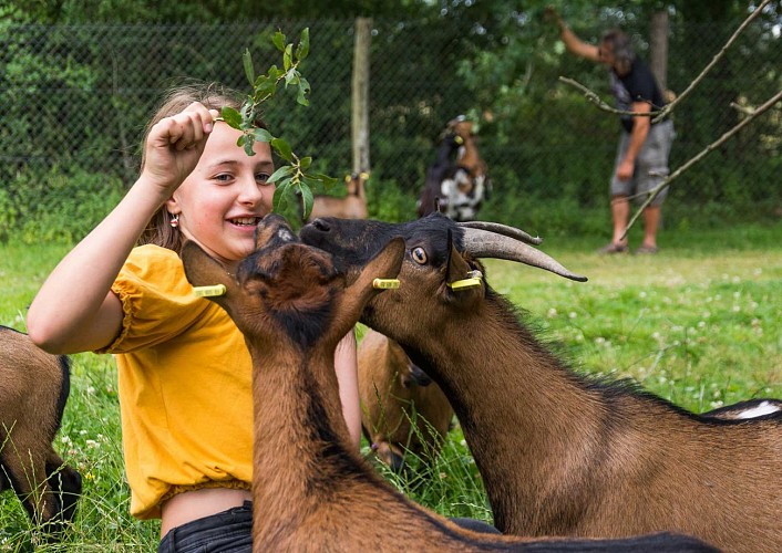 Vallée de la Sarthe - spay - Spaycificzoo