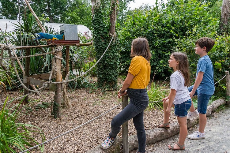 Spaycific' Zoo- Enclos des Aras 2