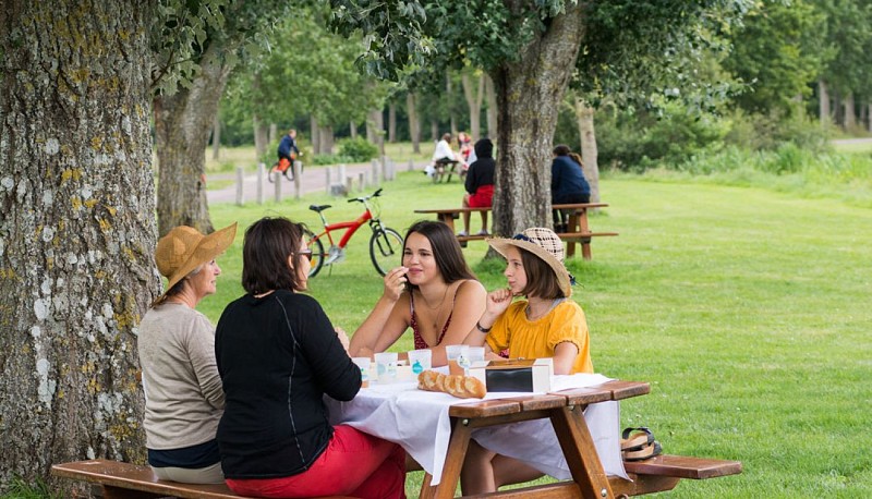 Pique-nique base de loisirs Fred Chouvier à Brûlon