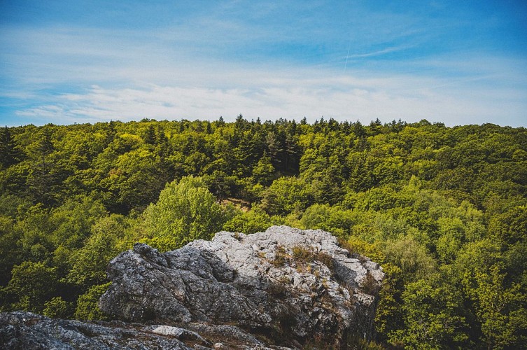 © OT 4CPS - Destination Coco - Randonnée