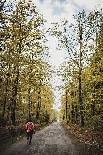 Destination Coco - OT4CPS - Forêt de Sillé