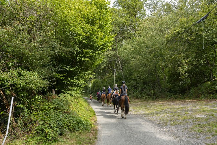 Équitation dans les Alpes Mancelles