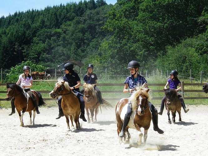 Centre équestre de la Chevallerie - Saint-Léonard-des-Bois