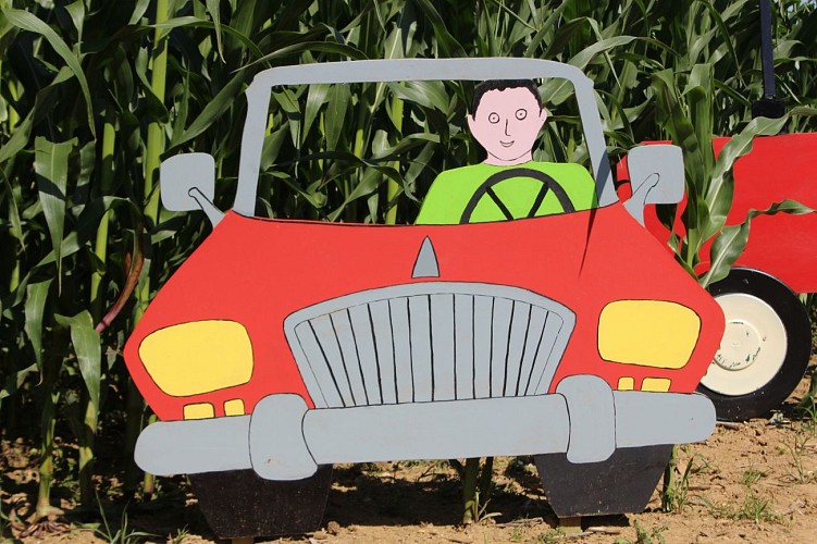 labyrinthe-de-mais-saint-remy-de-sille-72-LOI-4