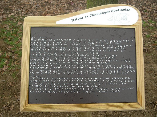 circuit-randonnée-personne-mobilité-réduite-tennie-72-LOI