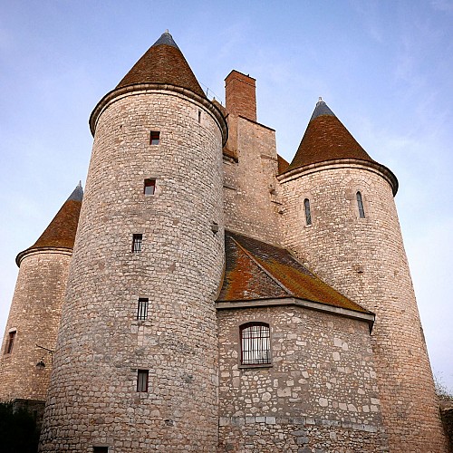 Château Musée de Nemours