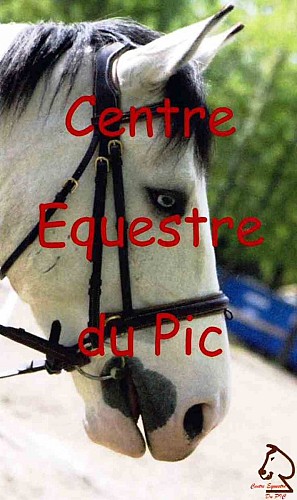 LOI72-centreequestredupic-Gréez