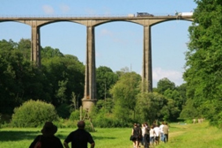 saut-a-lelastique-saint-georges-le-gaultier-72-loi-2