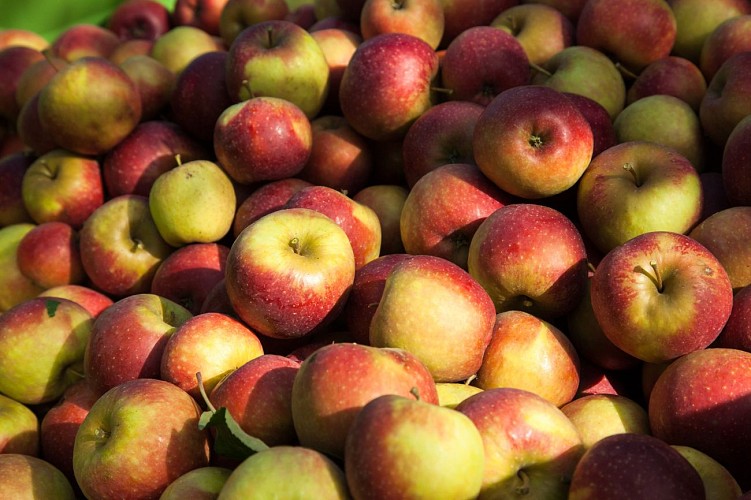 Verger des Quantieres_Chenu_Credit JP Berlose (27)