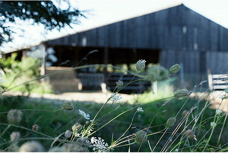 fermedubeaussay-ecommoy-72-dsf.4