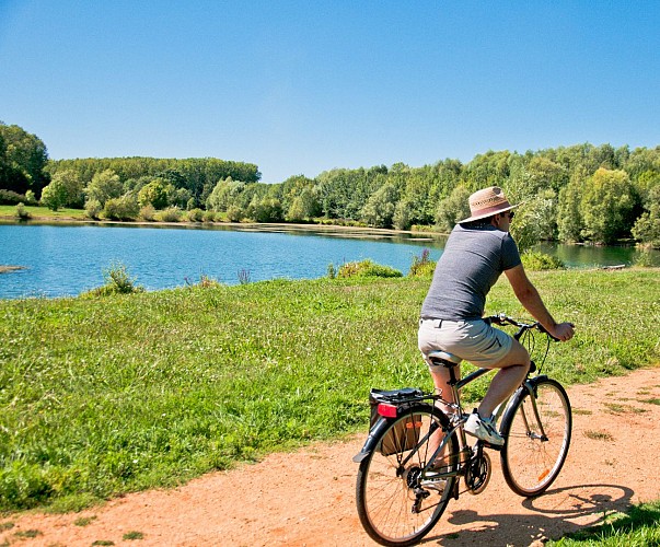 Velos LF_credit OTVL Stevan Lira (85)