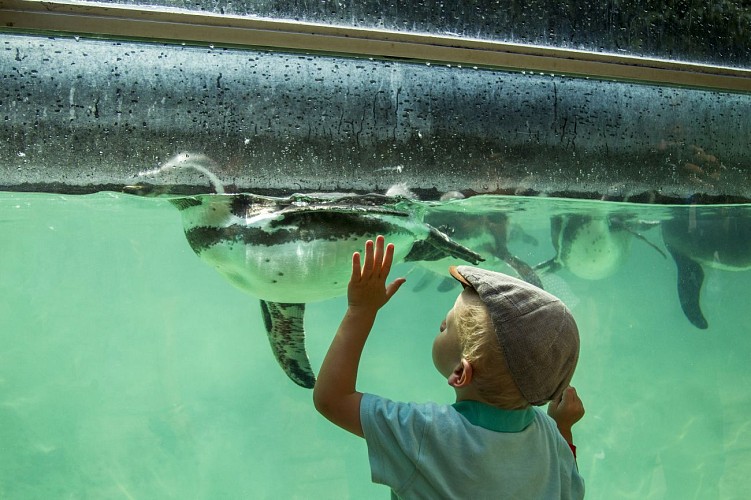 74 Le Loir_Zoo de La Fl+¿che_France-®Allwrite