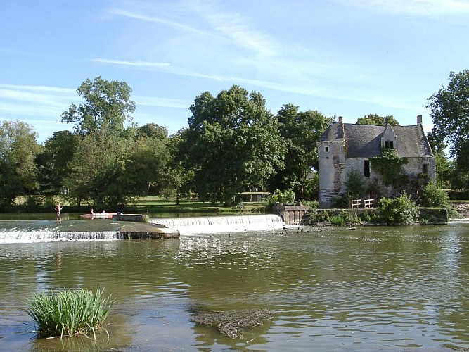 Merve-Luche-Pringe-7