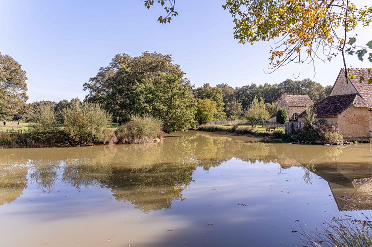 Mésangères - Le charme par nature