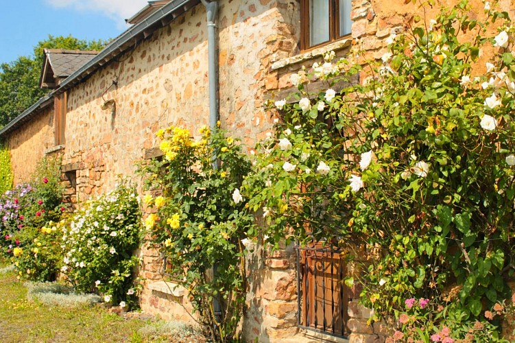 Gîte de Valifer - Extérieur