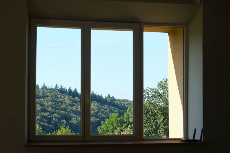 Gîte de La Coudraie - Vue sur la forêt