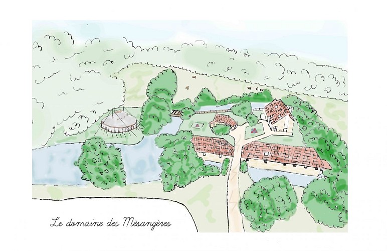 Vue d'ensemble avec le chapiteau