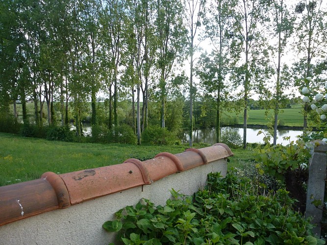 Meublé de Jupilles - Oisseau-le-Petit - vue sur l'étang