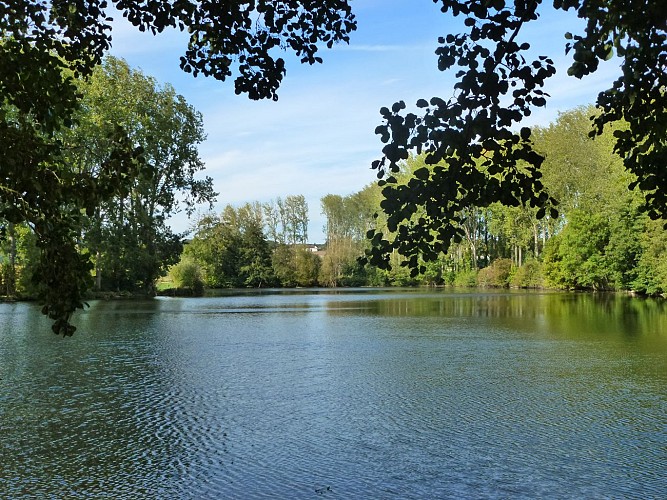Meublé de Jupilles - Oisseau-le-Petit - étang