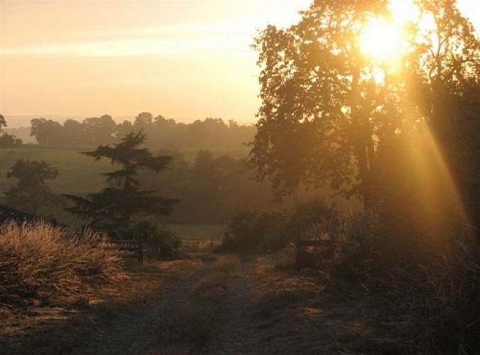 chambres-hotes-havre-de-fay-72-HLO