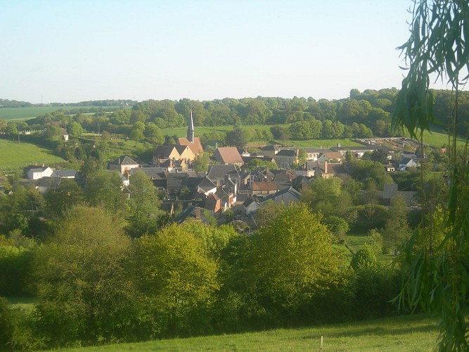 HLO881000350 - DSCN2523