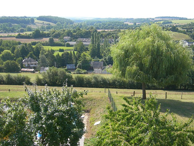 HLO881000350 - DSCN3153