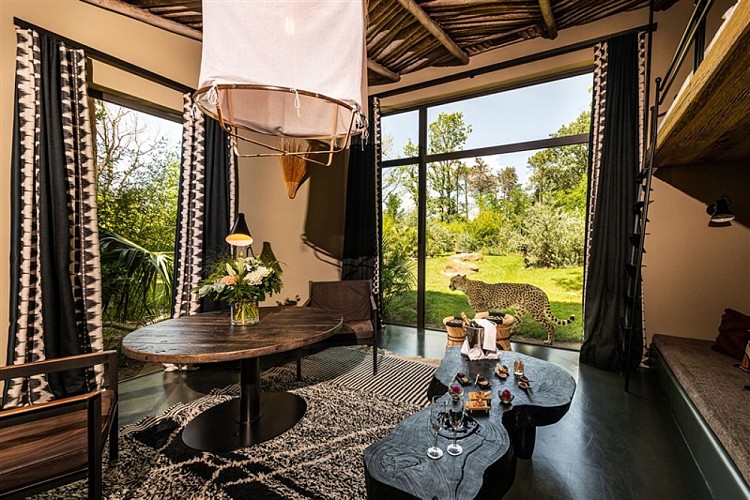 Maasaï Lodge - Univers guépards
