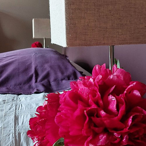 Chateau de Vaux (72130) - La chambre Aubergine