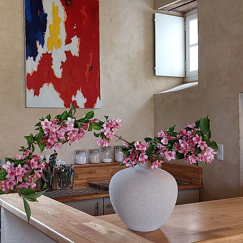 Chateau de Vaux (72130) - Une cuisine ultra équipée, avec fond de maison