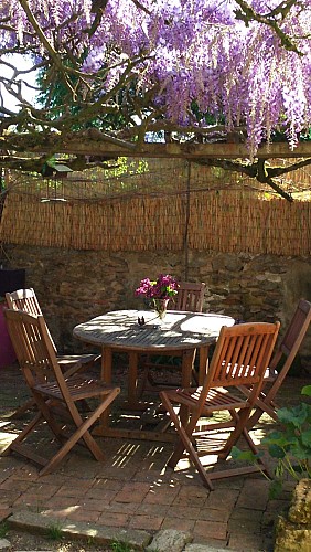 terrasse sous glycine fleurie